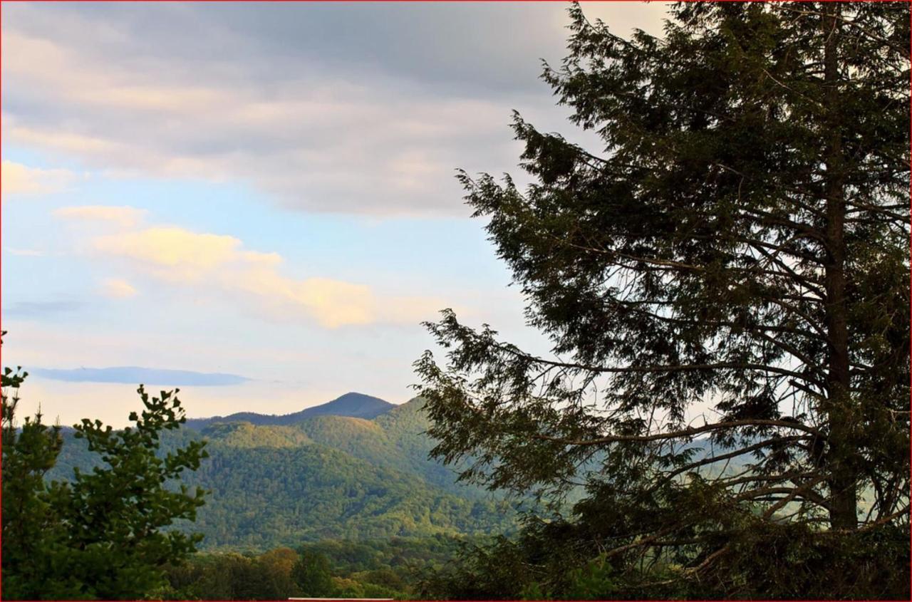 Franklin Terrace Bed And Breakfast Bagian luar foto